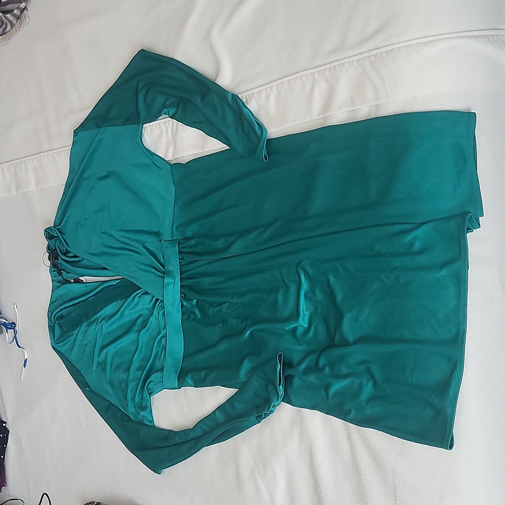 Nwt Long sleeve BCBG dress